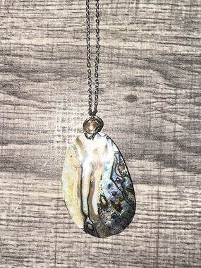 Iridescent Abalone Shell Pendant Necklace - Natural Multicolor